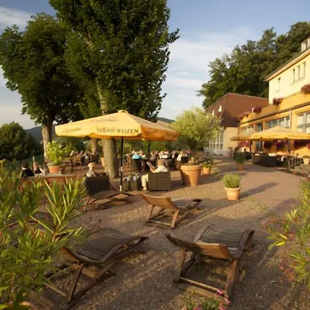 Hotell Bsw Lindenbach 3*