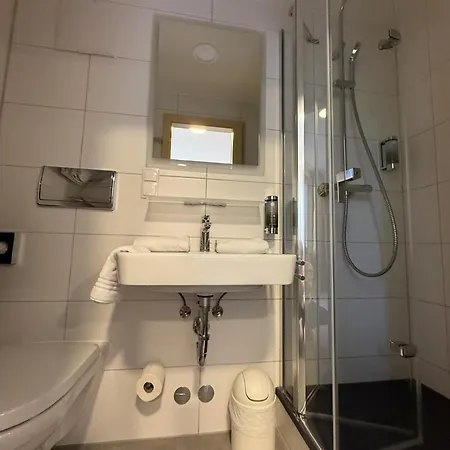 Hotel Bsw Lindenbach 3*