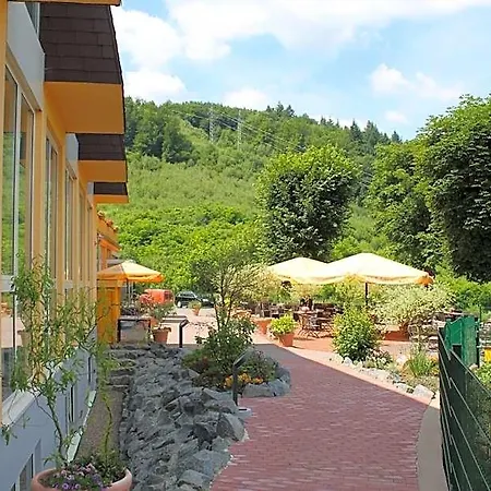 Bsw Lindenbach Hotell