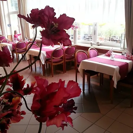 Hotel Bsw Ferienhotel Lindenbach