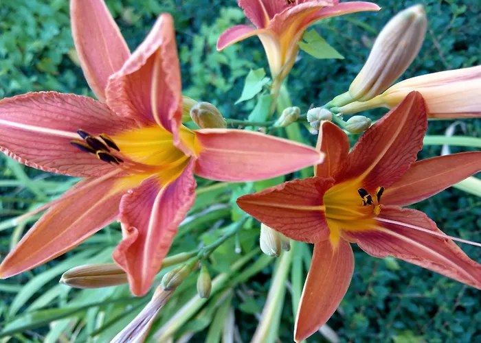 Bsw Lindenbach Bad Ems